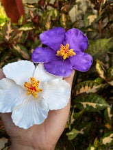 Load image into Gallery viewer, Hibiscus Hair Clips (Solid Colors)
