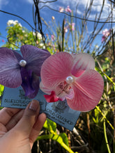 Load image into Gallery viewer, Orchid Hair Clips