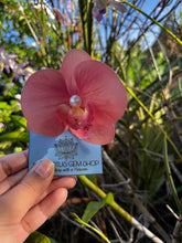 Load image into Gallery viewer, Orchid Hair Clips
