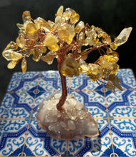 Load image into Gallery viewer, Citrine Feng Shui Money Tree