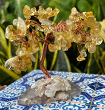 Load image into Gallery viewer, Citrine Feng Shui Money Tree