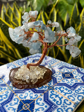 Load image into Gallery viewer, Aquamarine Feng Shui Money Tree